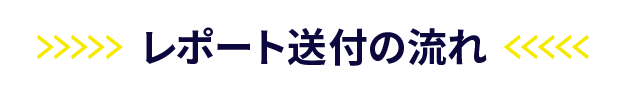 レポート送付の流れ