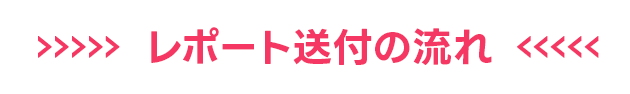 レポート送付の流れ